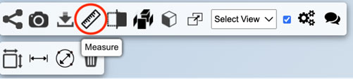 Screenshot of the measurement tool and its options